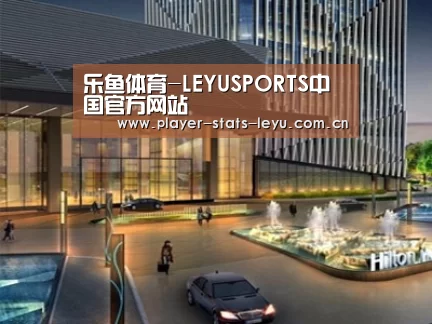 案例展示二