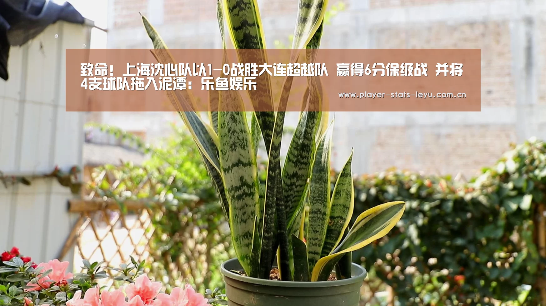 致命!上海沈心队以1-0战胜大连超越队 赢得6分保级战 并将4支球队拖入泥潭:乐鱼娱乐(图1) 乐鱼体育